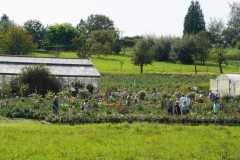 DSC03321