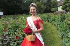 dahlienkoenigin-elisabeth